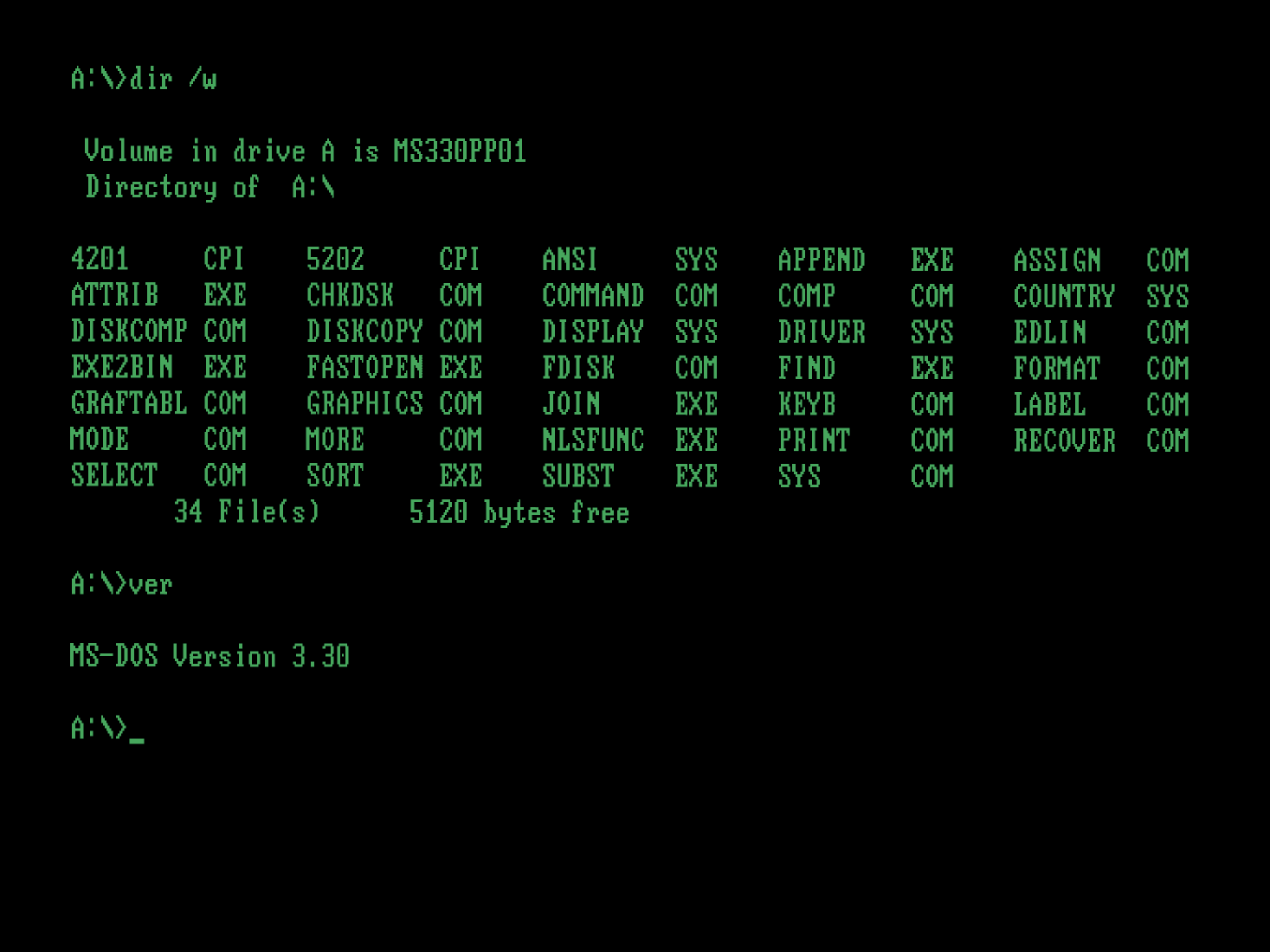 MS-DOS Prompt