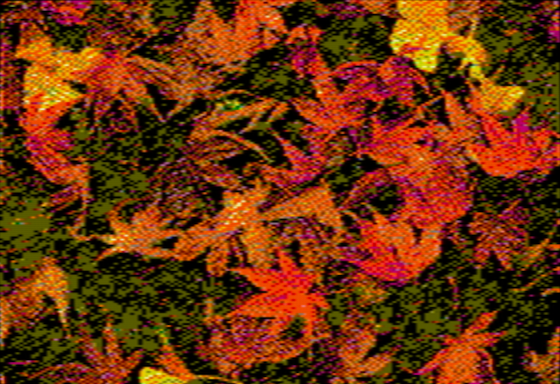 Autumn leaves - NTSC OpenEmulator