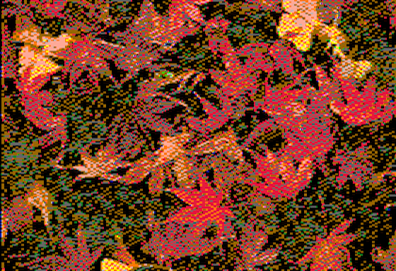 Autumn leaves - Virtual II