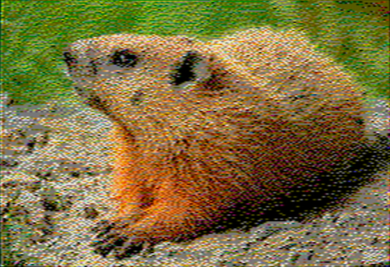 Groundhog - OpenEmulator 8-pixel