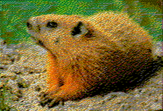 Groundhog - OpenEmulator 4-pixel