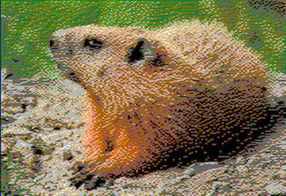 Groundhog - Virtual II