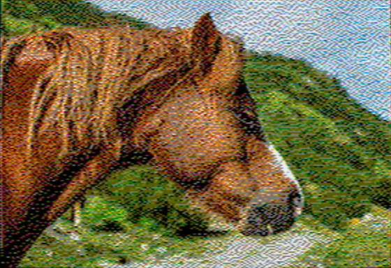 Horse - OpenEmulator 8-pixel