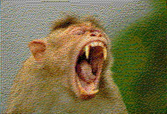 Bonnet Macaque - OpenEmulator 8-pixel