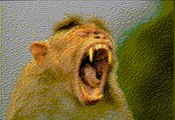 Bonnet Macaque - OpenEmulator 4-pixel