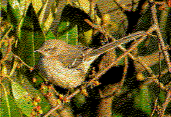 Mockingbird - OpenEmulator 8-pixel