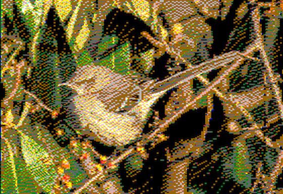 Mockingbird - Virtual II