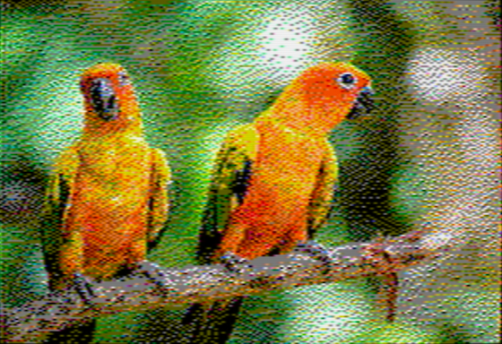 Parrots - OpenEmulator 8-pixel