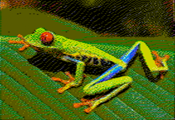 Red Eyed Tree Frog - NTSC OpenEmulator