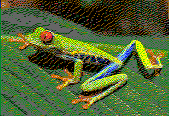 Red Eyed Tree Frog - Virtual II