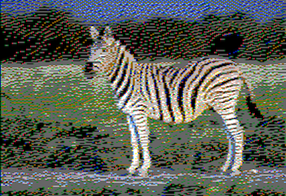 Zebra - Virtual II