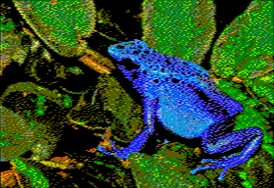 Dendrobates azureus - NTSC OpenEmulator