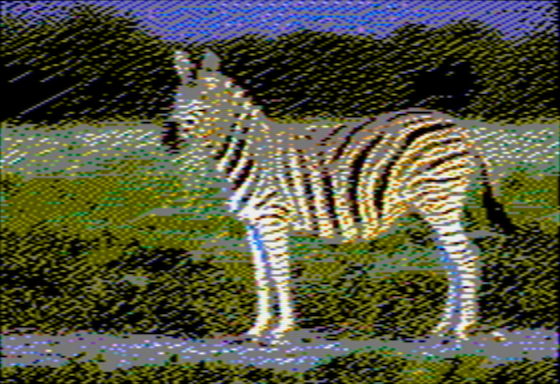 Zebra - NTSC OpenEmulator