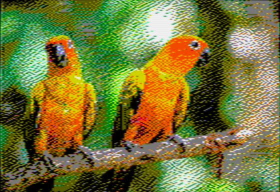 Two colourful parrots sitting on a branch