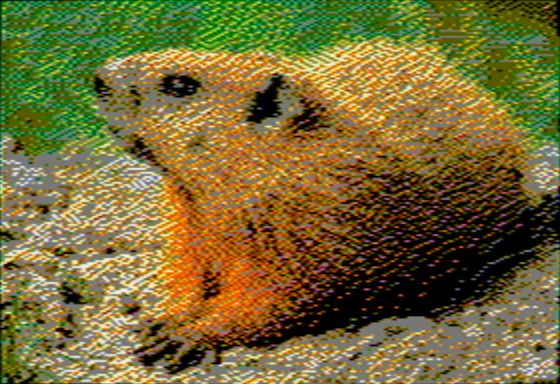 Groundhog - OpenEmulator 4-pixel