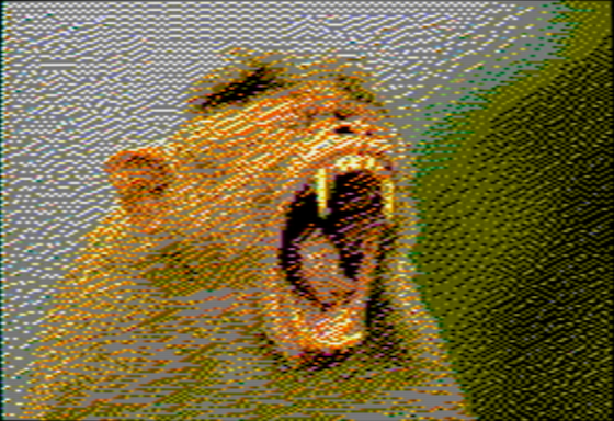 Bonnet Macaque - OpenEmulator 4-pixel