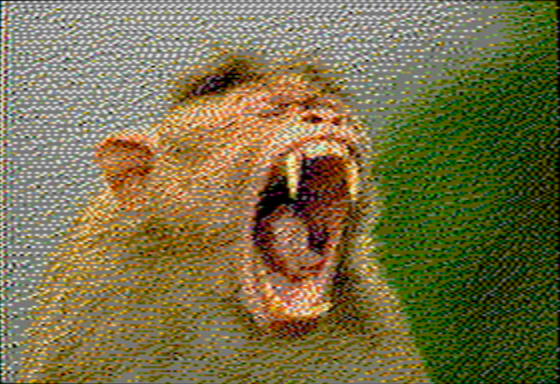 Bonnet Macaque - OpenEmulator 8-pixel
