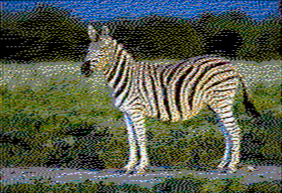 Zebra - OpenEmulator 8-pixel